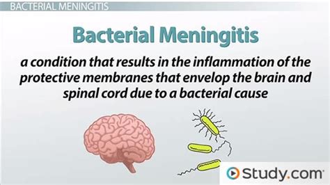 bacterial meningitis definition